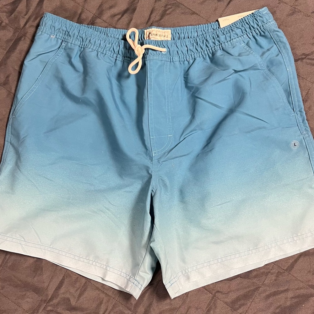 American Eagle Outfitters Ombre Blue Swim Trunks